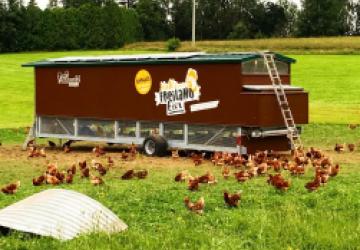 Beklebung mobiler Hühnerstall